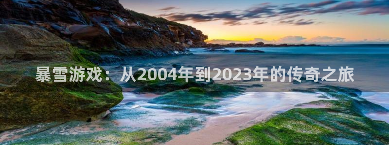bg大游子文化：暴雪游戏：从2004年到2023年的传奇之旅
