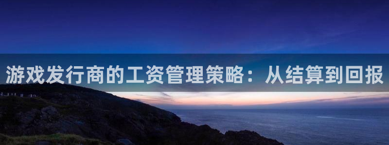 bg大游电子商务有限公司怎么样：游戏发行商的工资管理策略：从结算到回报