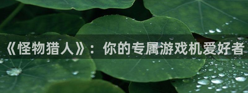 作者bg大游子小说：《怪物猎人》：你的专属游戏机爱好者