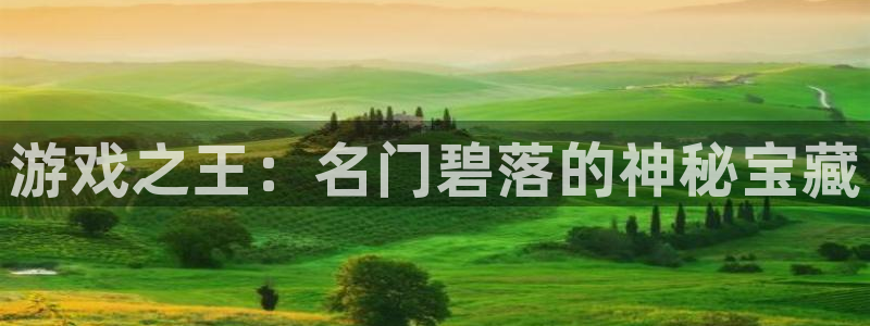 bg大游子代表什么意思：游戏之王：名门碧落的神秘宝藏