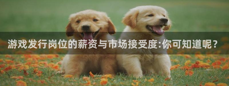 bg大游官网怎么注册账号：游戏发行岗位的薪资与市场接受度:你可知道呢？