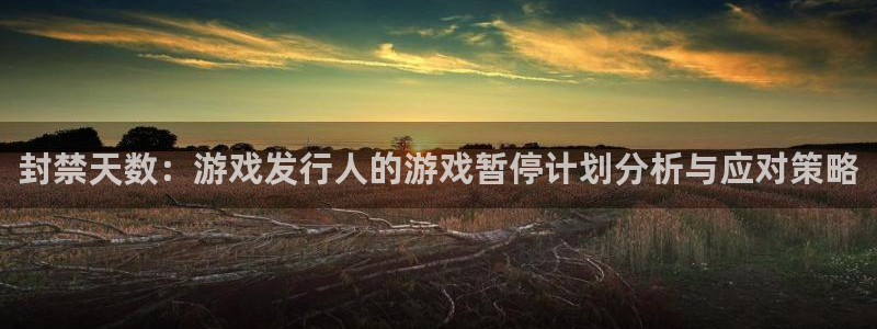 bg大游电子商务有限公司：封禁天数：游戏发行人的游戏暂停计划分析与应对策略