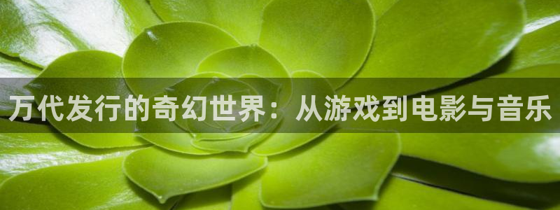 苏州bg大游网络科技有限公司：万代发行的奇幻世界：从游戏到电影与音乐