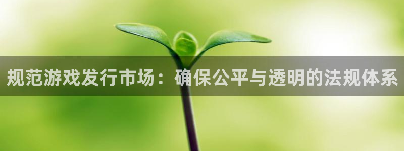 bg大游官网注册平台怎么注册账号：规范游戏发行市场：确保公平与透明的法规体系