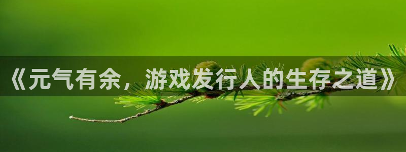 bg大游子音乐