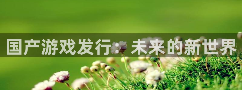 bg大游官网平台招商qq：国产游戏发行：未来的新世界