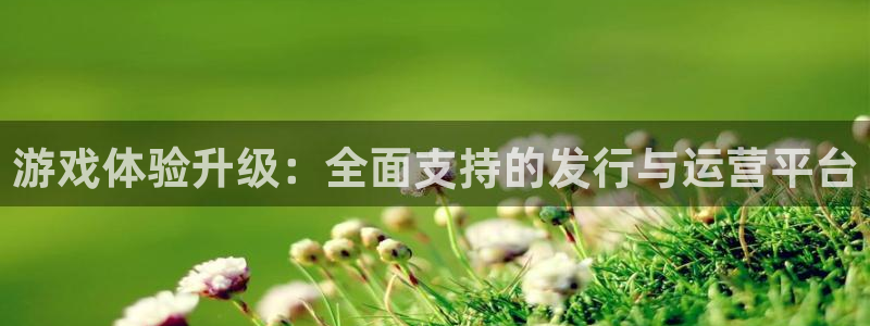 bg大游官网客服电话是多少