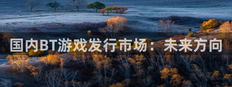bg大游官网登录注册不了怎么办：国内BT游戏发行市场：未来方向