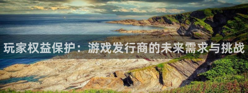 bg大游子传媒集团ceo：玩家权益保护：游戏发行商的未来需求与挑战