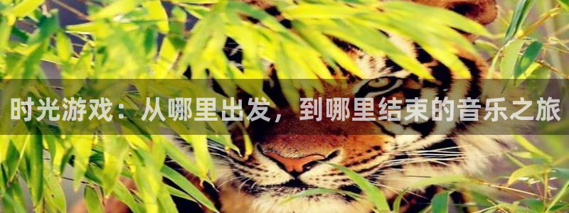 bg大游科技