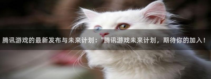 bg大游子文化创意加好友：腾讯游戏的最新发布与未来计划：\