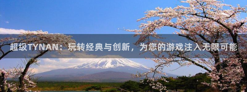 bg大游官网注册登录失败：超级TYNAN：玩转经典与创新，为您的游戏注入无限可能