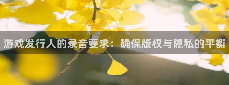 广州bg大游网络科技有限公司怎么样