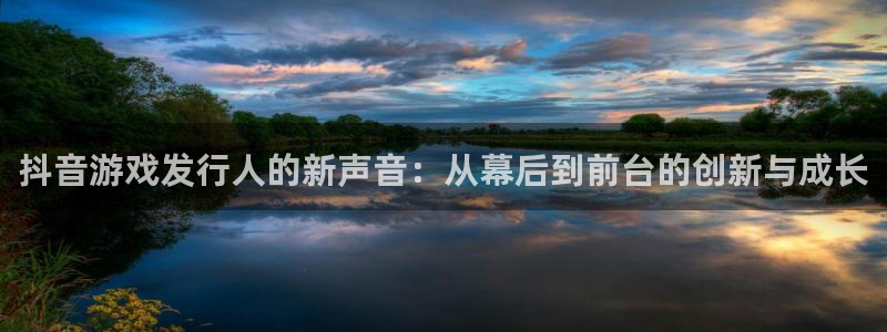 深圳市bg大游科技有限招聘公司