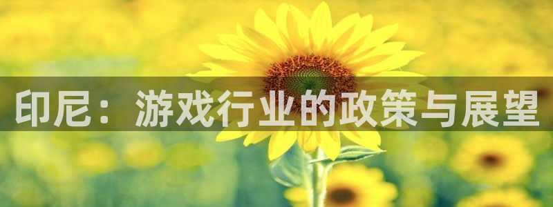 bg大游官网注册平台是什么意思：印尼：游戏行业的政策与展望