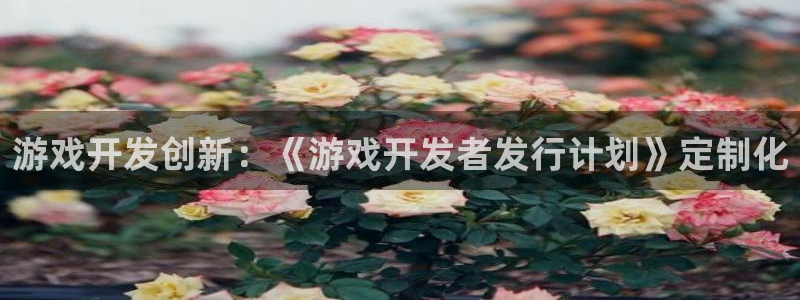 bg大游子公司怎么样：游戏开发创新：《游戏开发者发行计划》定制化