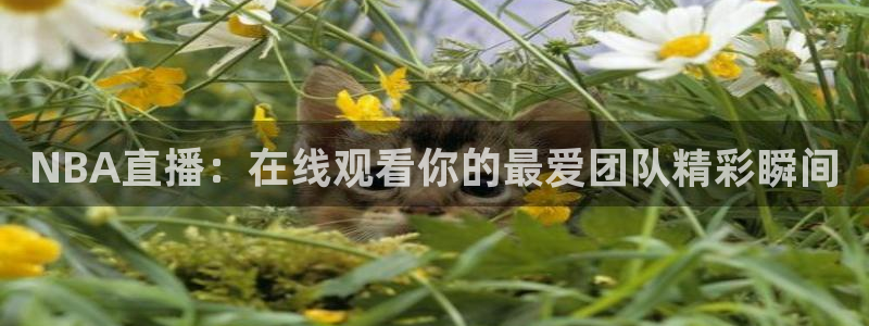 24直播免费足球直播178