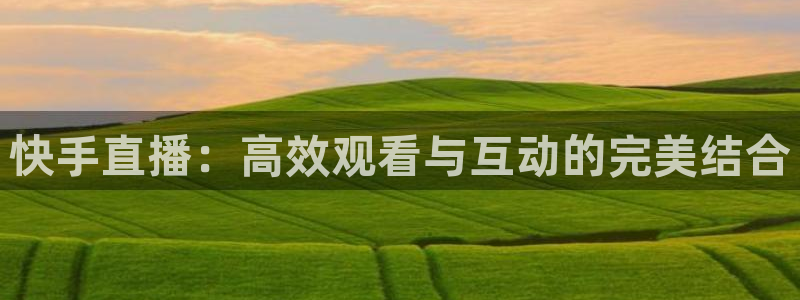 24直播网官网：快手直播：高效观看与互动的完美结合