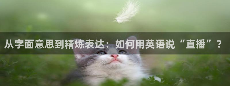 24直播视频：从字面意思到精炼表达：如何用英语说“直播”？